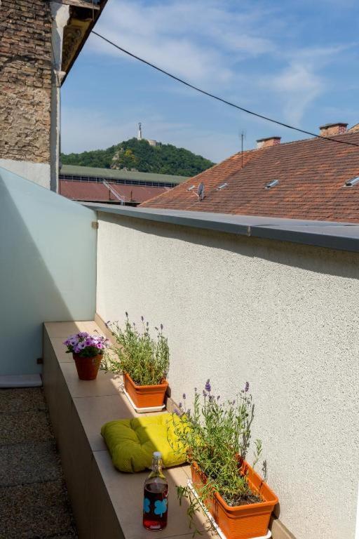 Erkel Rooftop Suites Budapest Ngoại thất bức ảnh